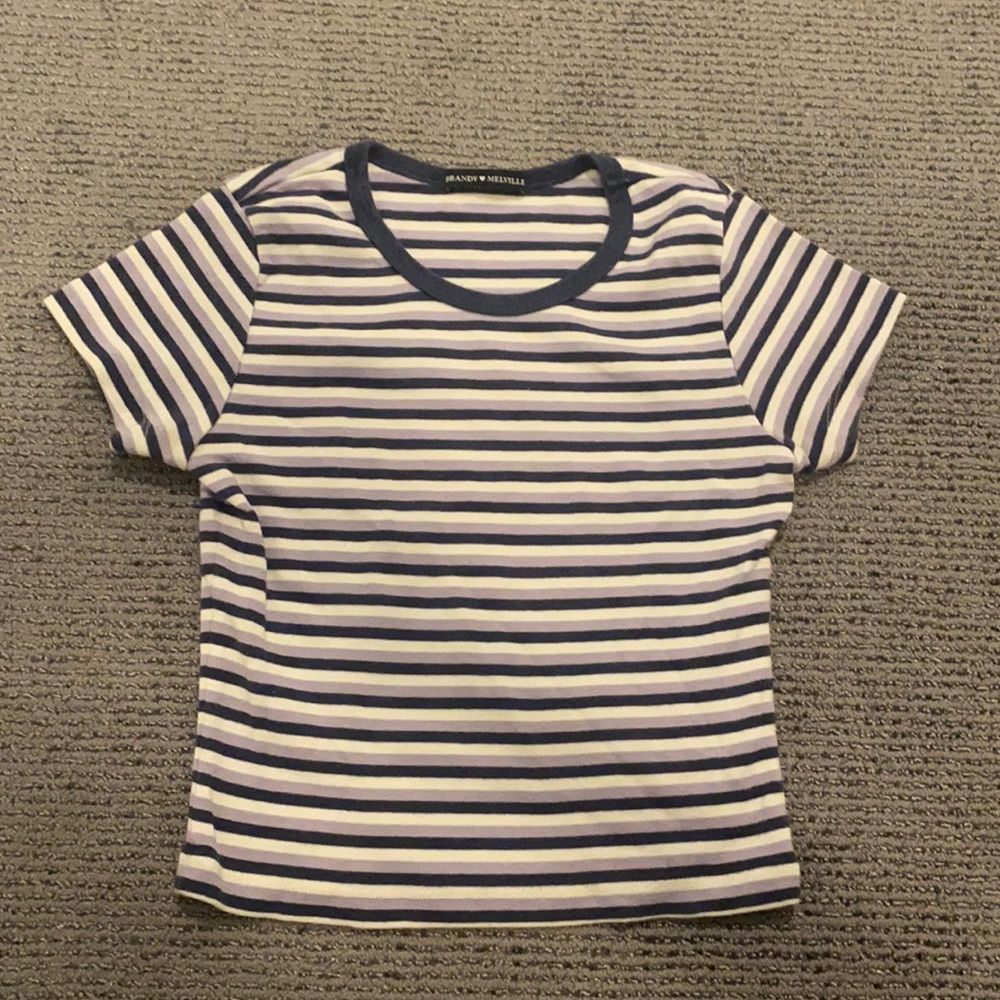 Brandy Stripe Crop Top